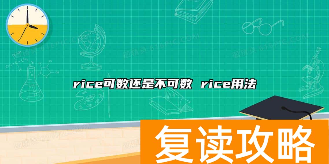 rice可数还是不可数 rice用法